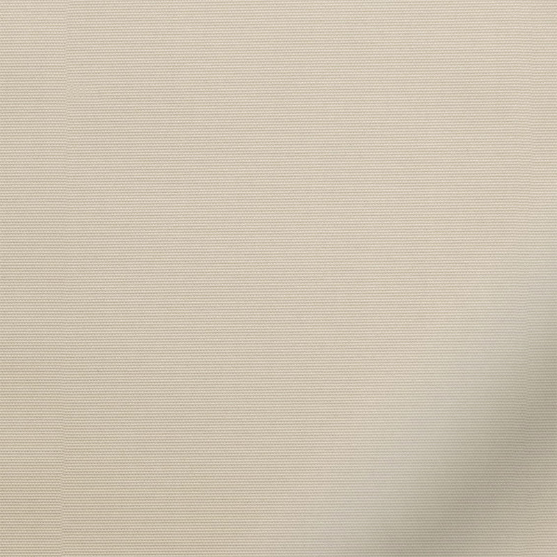 ColorizedZoom 