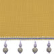 ColorizedZoom  8648