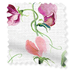 ColorizedSwatch Sweet Pea Pink Roller Blind sample image 9147