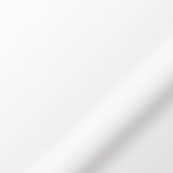 ColorizedPLA Soft Raise Voyage Blackout Ice White Roller Blind 9267