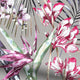 ColorizedPLA Paradise Botanical Raspberry  Roman Blind 9327