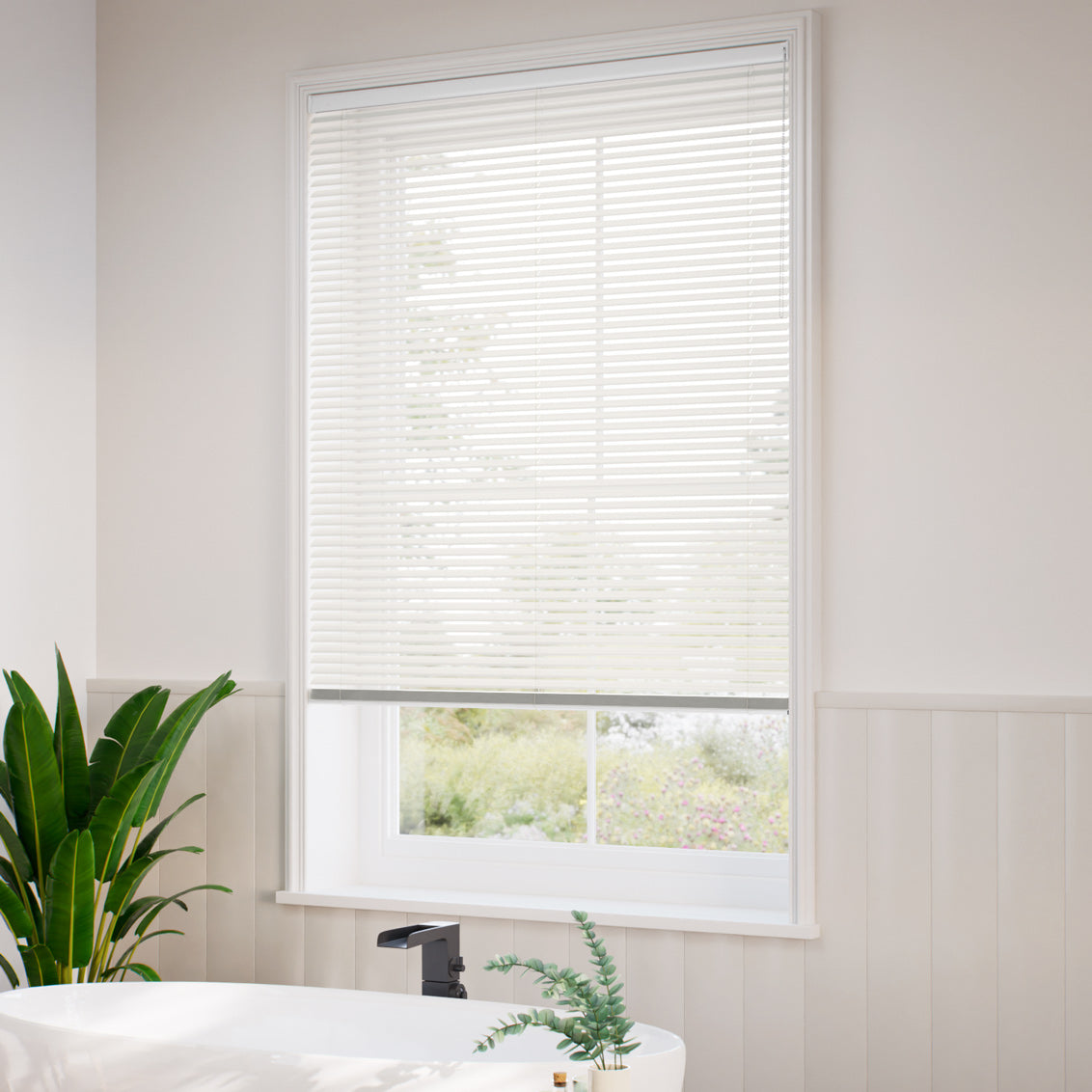 ColorizedZoom  10580