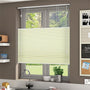 ColorizedZoom  8905