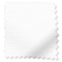 ColorizedSwatch  2895
