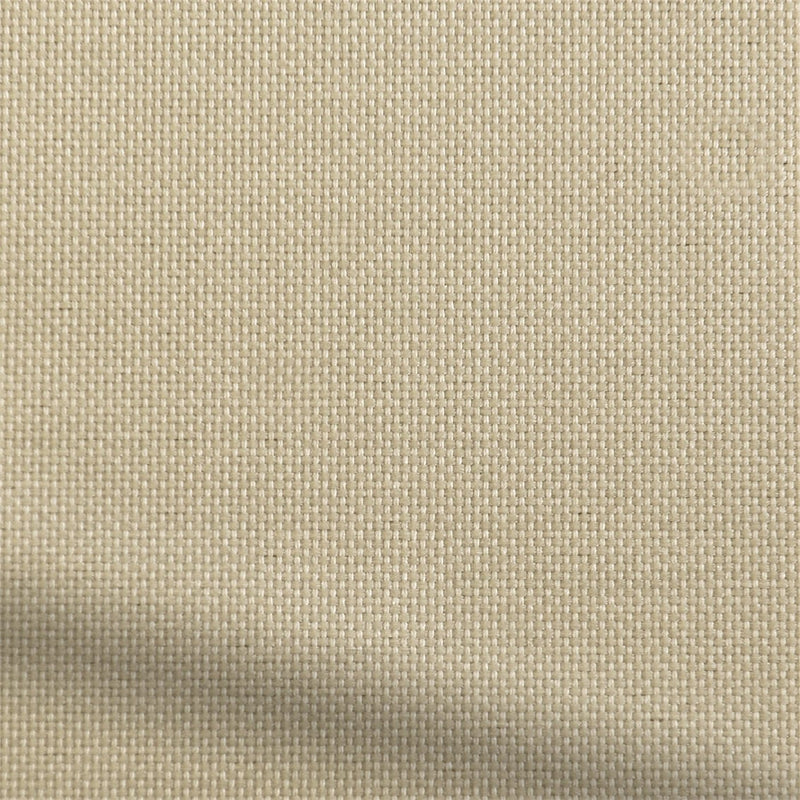 ColorizedZoom  3537