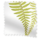 ColorizedSwatch Angel Ferns Olive Roller Blind sample image 3731