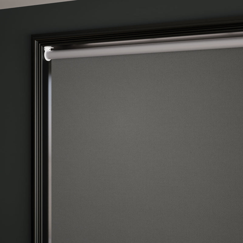 ColorizedZoom  3871
