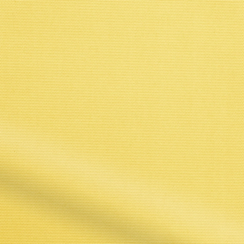 ColorizedZoom  4195