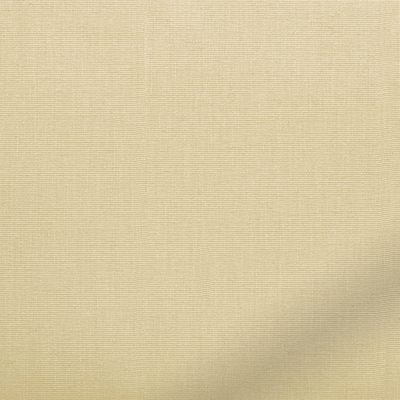 ColorizedZoom  4199