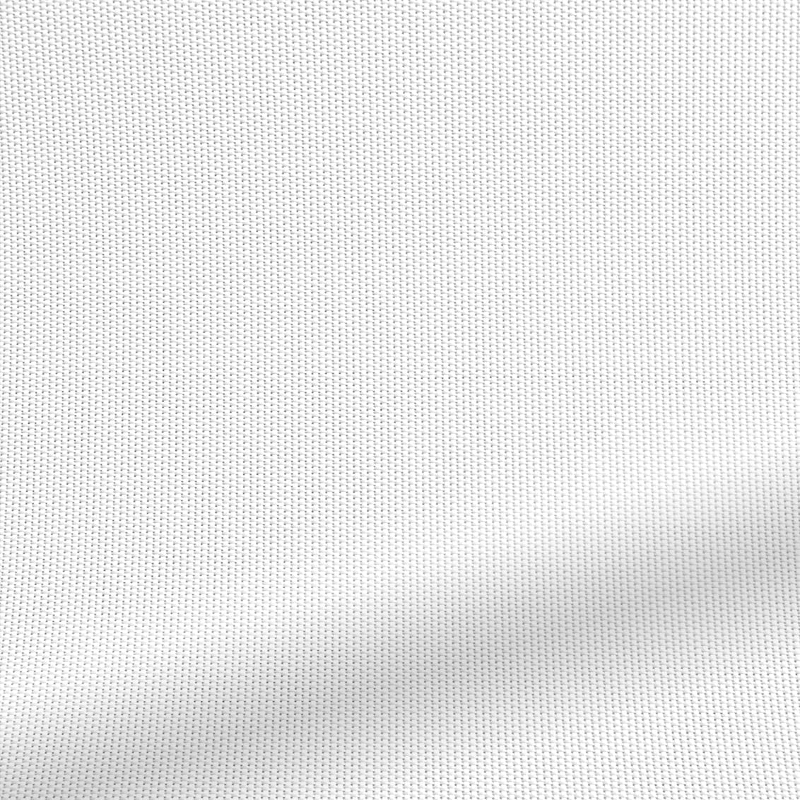 ColorizedZoom  4273