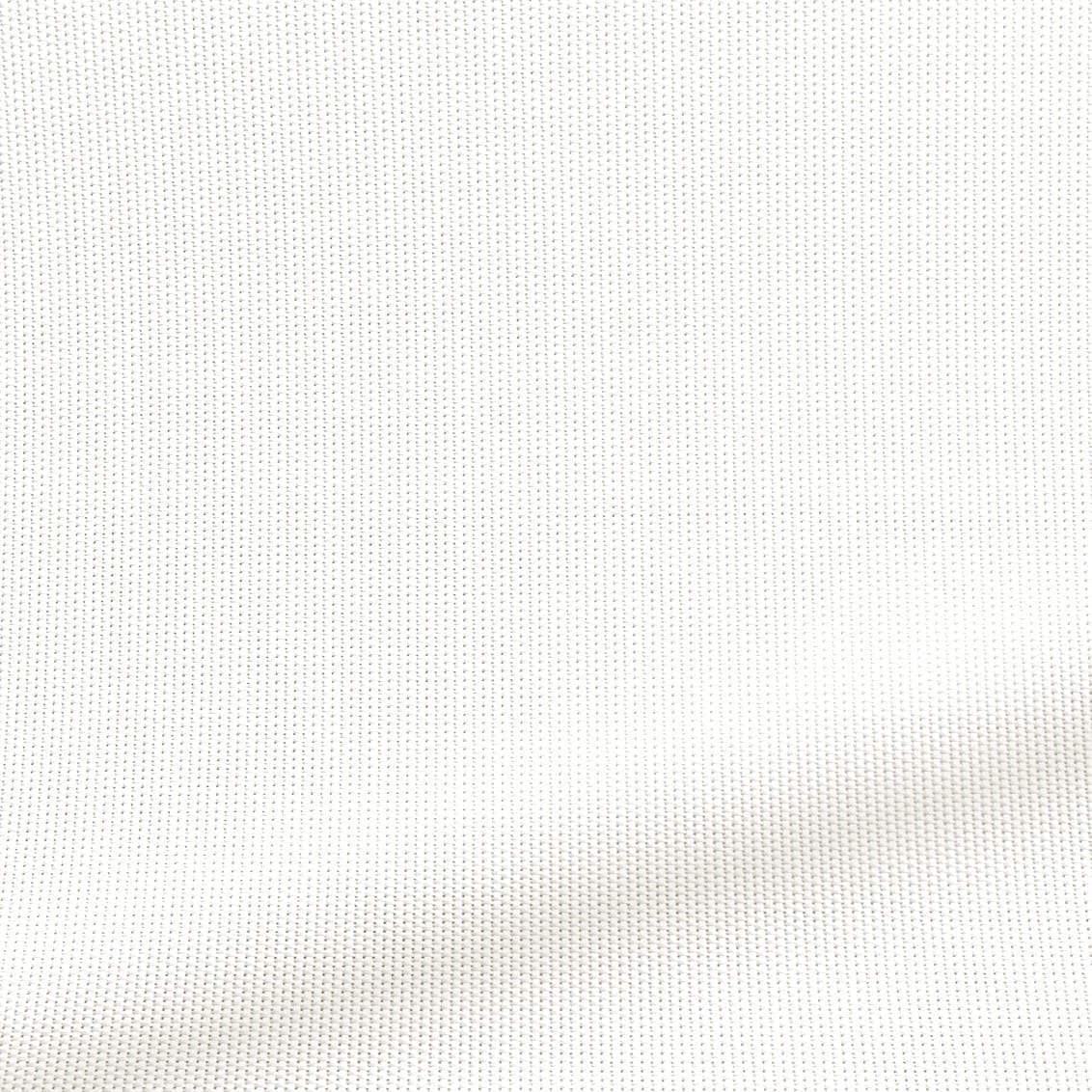 ColorizedZoom  4274