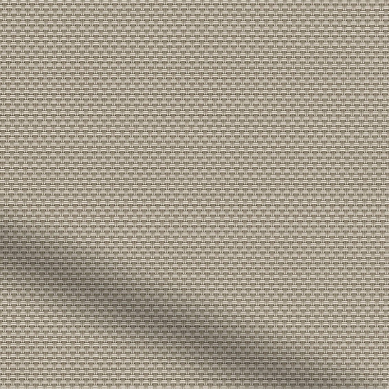 ColorizedZoom  4277
