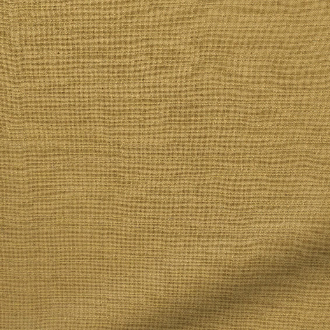 ColorizedZoom  4289