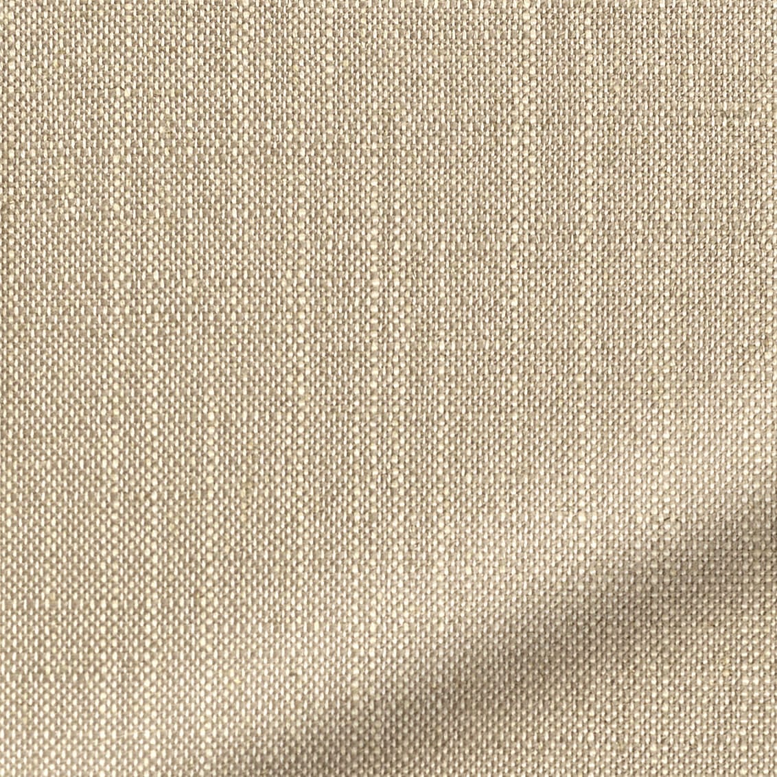 ColorizedZoom  4287