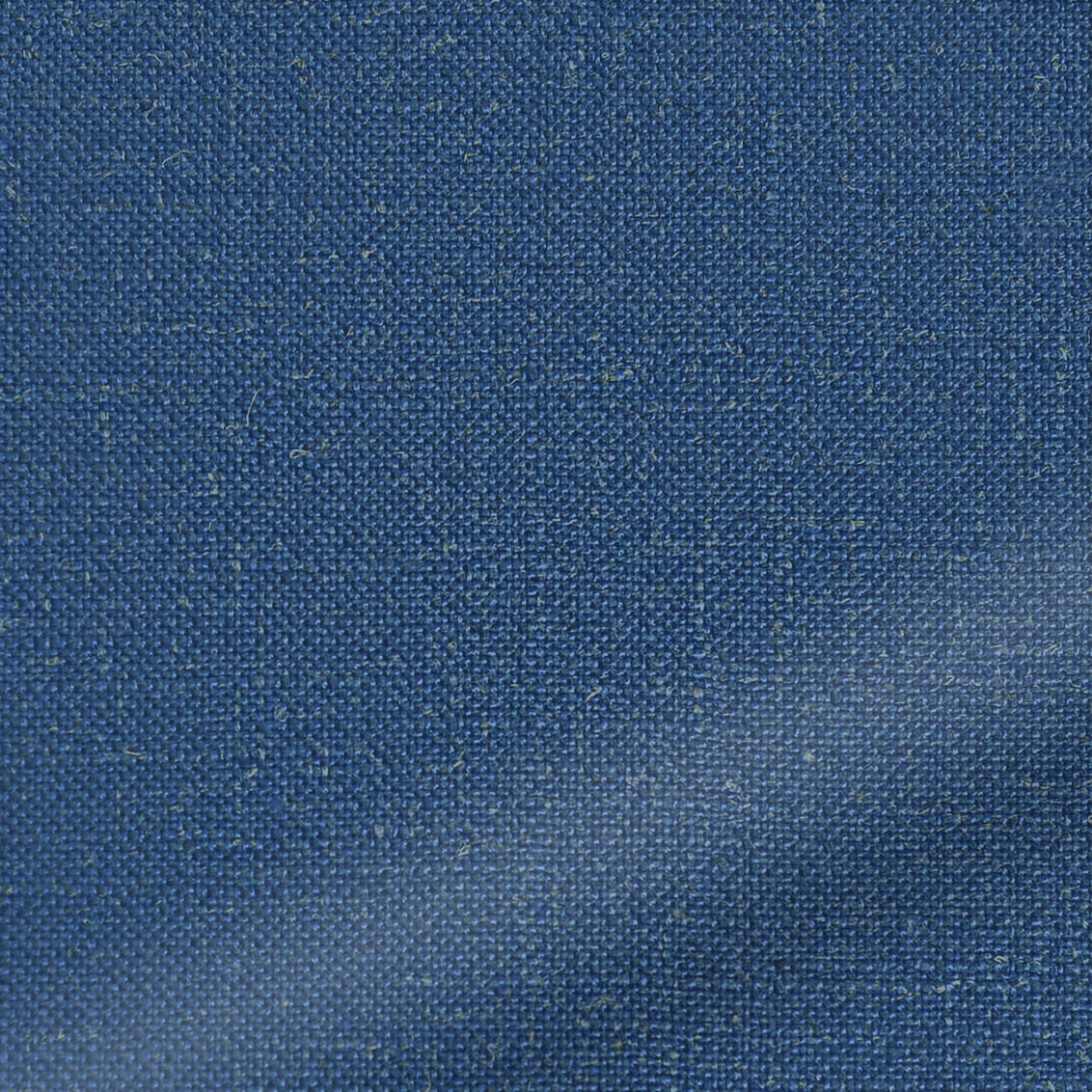 ColorizedZoom  4285