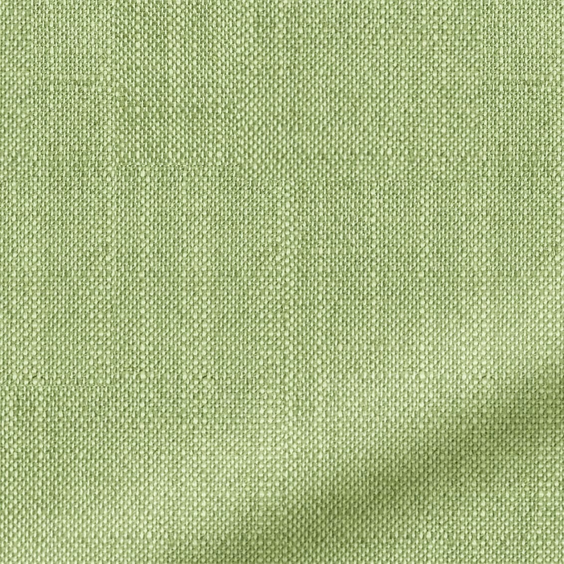ColorizedZoom  4291