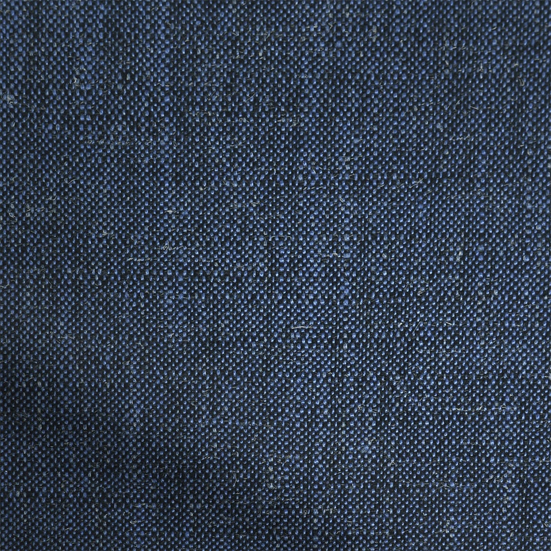 ColorizedZoom  4295