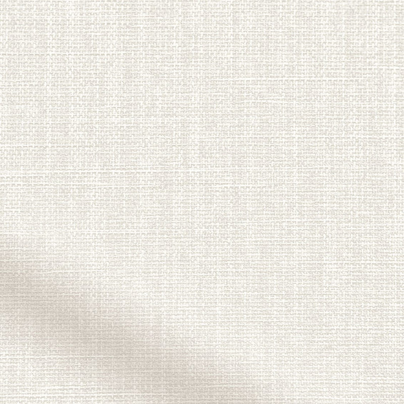 ColorizedZoom  4301