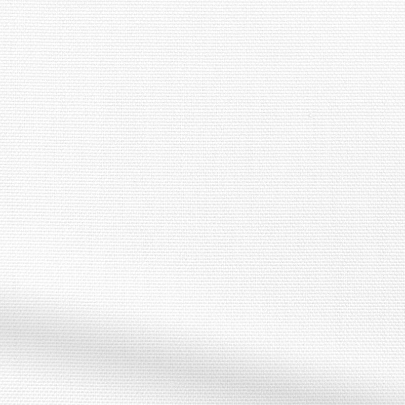 ColorizedZoom  4332