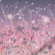 ColorizedZoom  4388