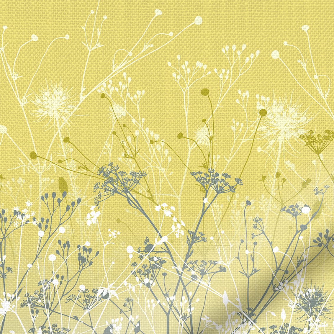 ColorizedZoom  4389