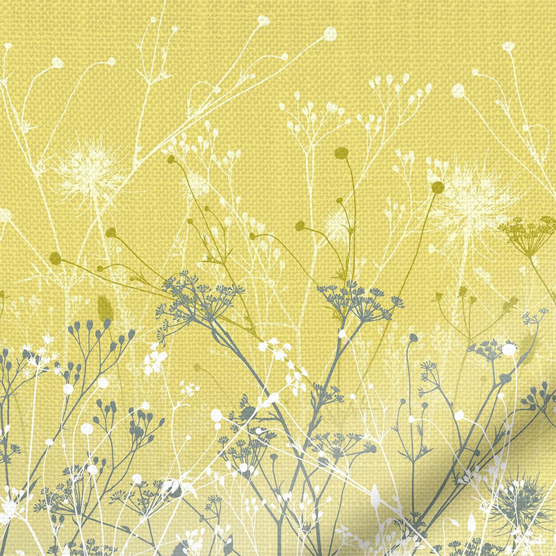 ColorizedZoom  4389