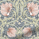 ColorizedZoom  4397