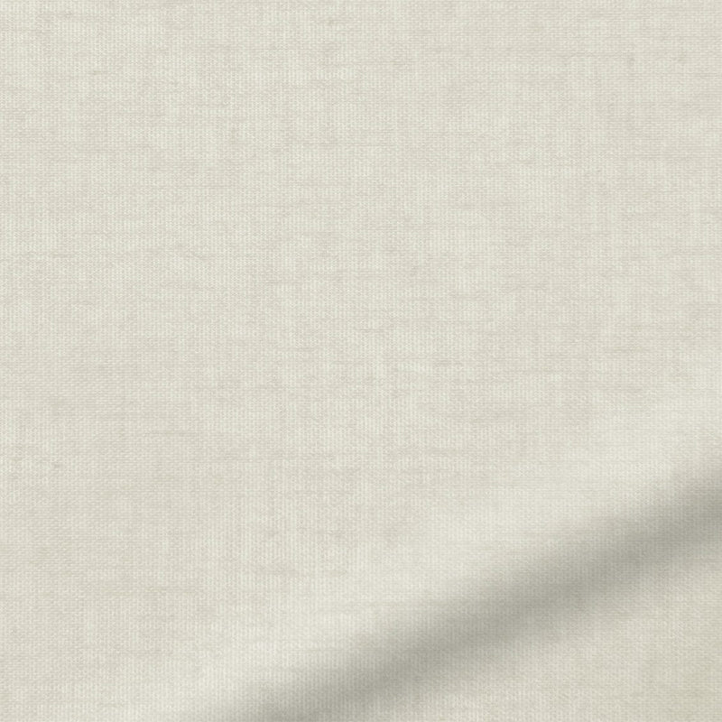 ColorizedZoom  4463
