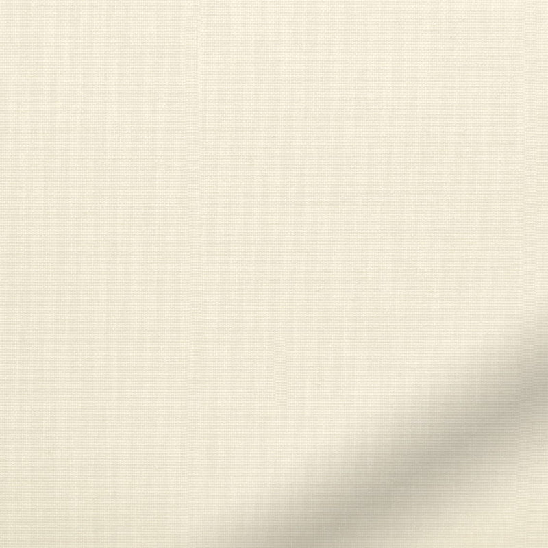 ColorizedZoom  4473
