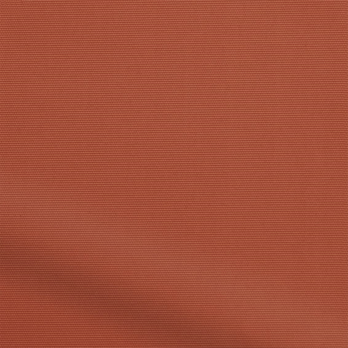 ColorizedZoom  4486