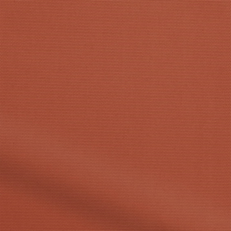 ColorizedZoom  4486