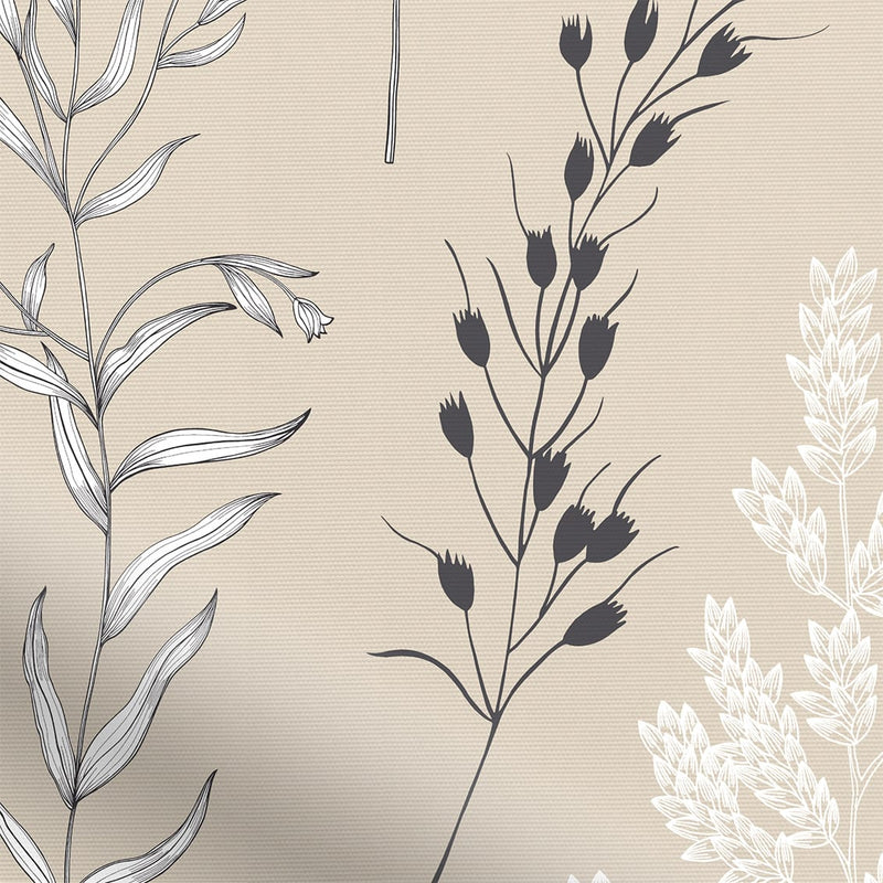 ColorizedZoom  4523