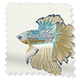 ColorizedSwatch Twist2Go Splash Blackout Kamanu Marine Roller Blind sample image 4550