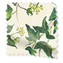 ColorizedSwatch Twist2Go Choices Ivy Green Roller Blind sample image 4659