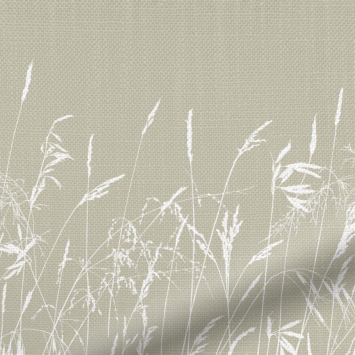 ColorizedZoom  4739