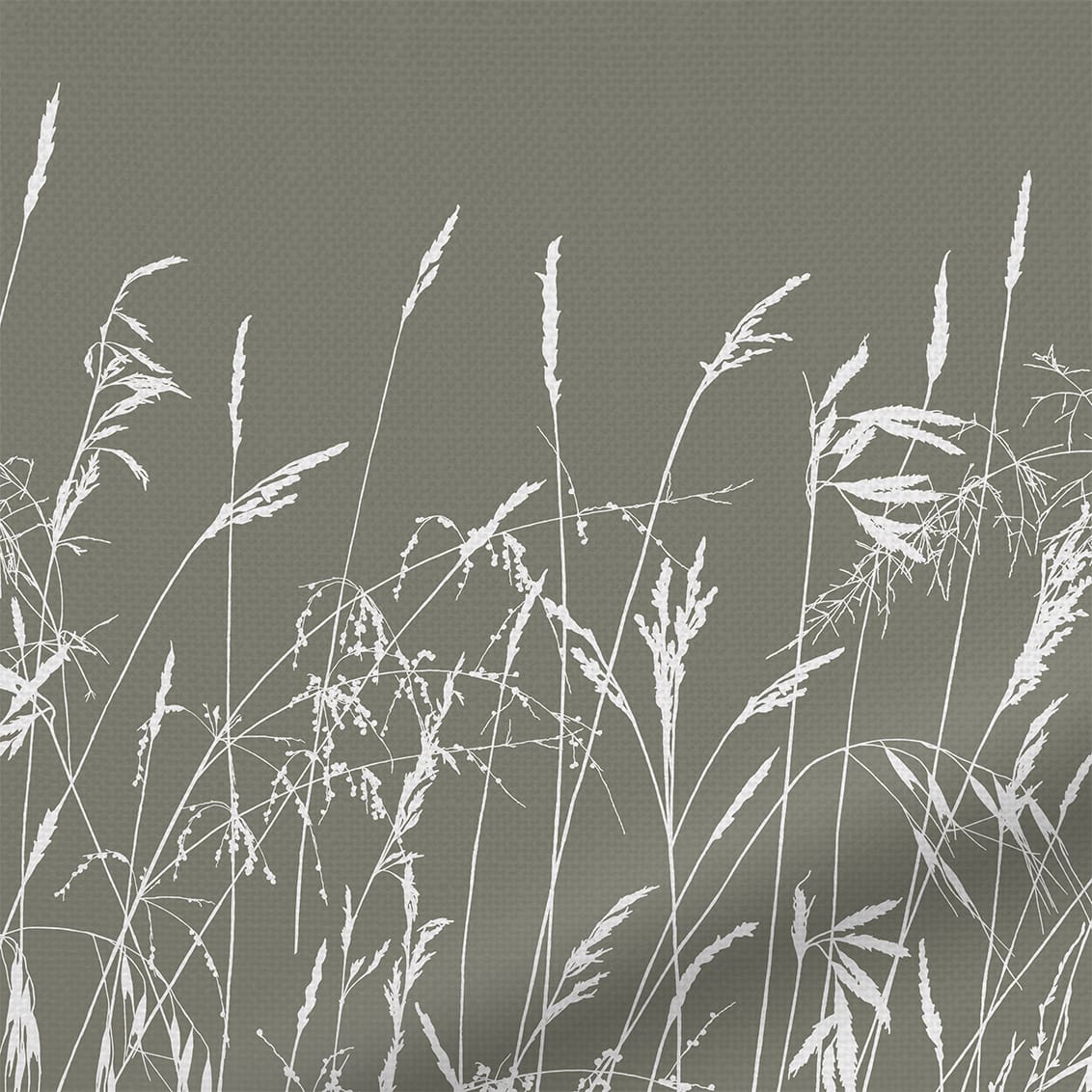 ColorizedZoom  4740