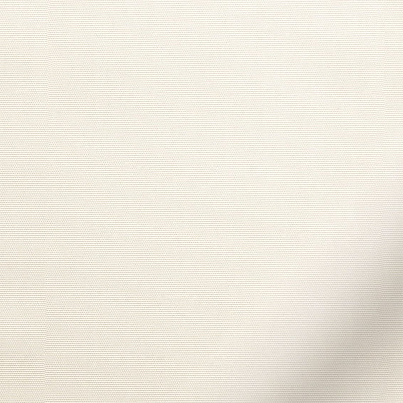 ColorizedZoom  4895