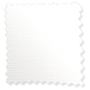 ColorizedSwatch  4939