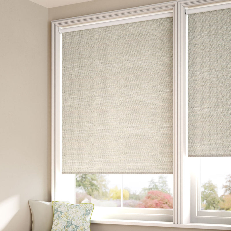 ColorizedZoom Twist2Go Choices Cleo Mineral Roller Blind 4970