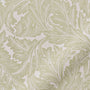 ColorizedZoom  4991