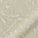 ColorizedZoom  5009