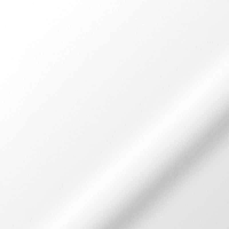 ColorizedZoom  5048
