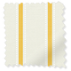 ColorizedSwatch  5172