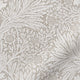 ColorizedZoom  5344
