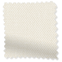ColorizedSwatch  6644