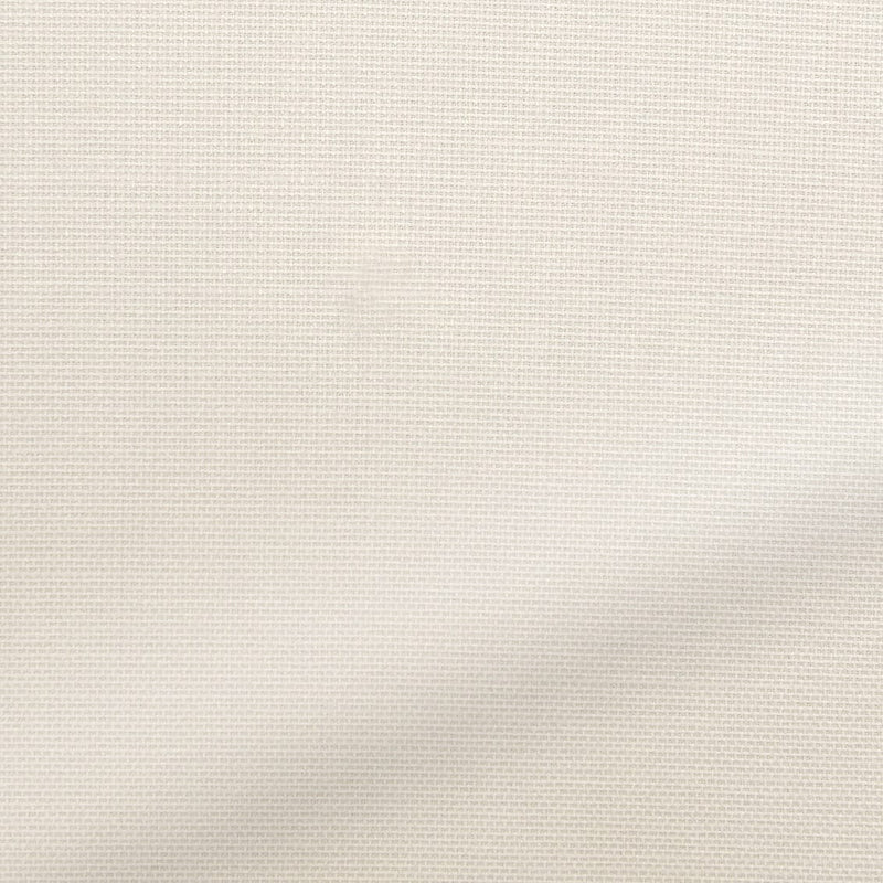 ColorizedZoom  6945