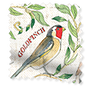 ColorizedSwatch  7164