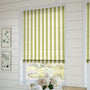 ColorizedZoom Dartmouth Fern Roman Blind 7276