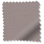 ColorizedSwatch  7554