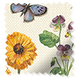ColorizedSwatch  7657
